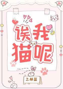 诶我猫呢