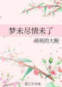 梦未尽情未了