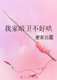 我家暗卫不好哄