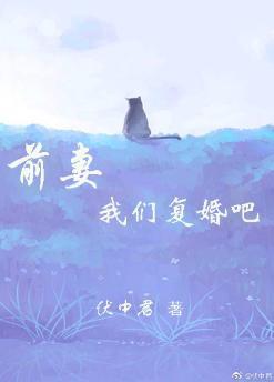 前妻,我们覆婚吧!