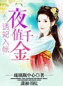 诱妃入帐，夜值千金
