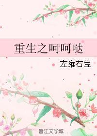 重生之呵呵哒