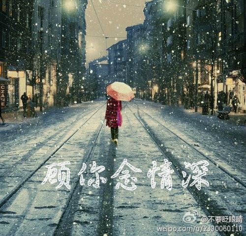 顾你念情深