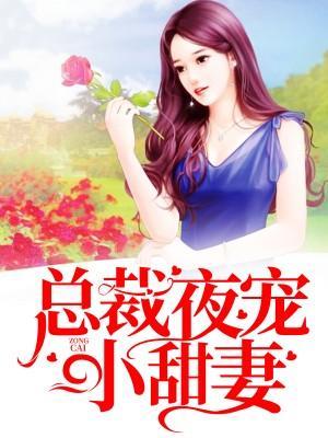 总裁夜宠小甜妻