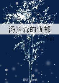 （论坛体）锤基 海森汤抖森的忧郁