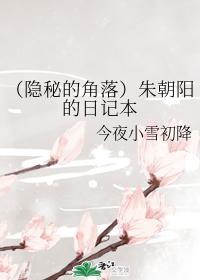 (隐秘的角落)朱朝阳的日记本