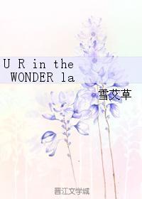 U R in the WONDER lab