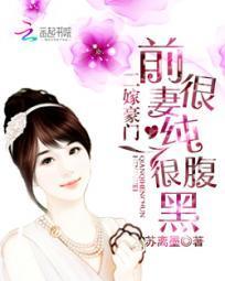 二嫁豪门:前妻很纯很腹黑