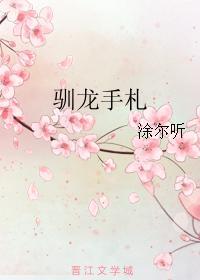 驯龙手札