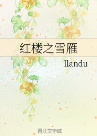 红楼之雪雁