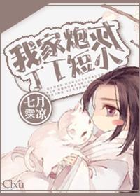 我家炮灰丁丁短小