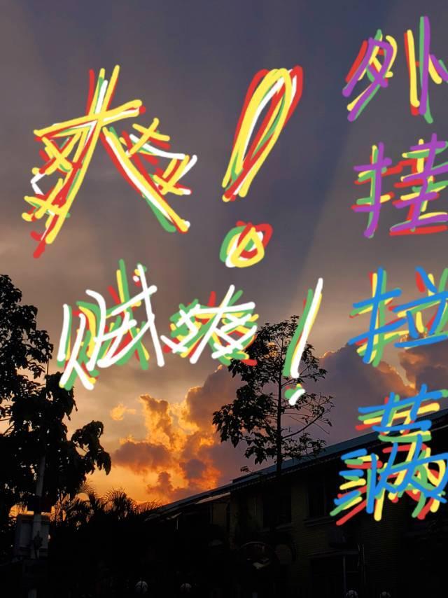 在荒岛种田后我成神了
