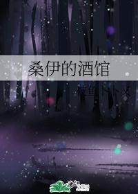 桑伊的酒馆