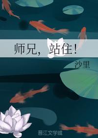 师兄,站住!
