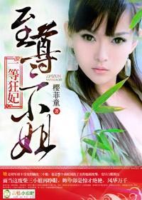 一等狂妃,至尊三小姐