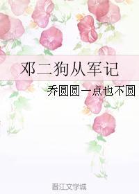 邓二狗从军记