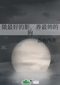 做最好的影，养最帅的狗