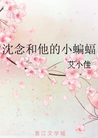 沈念和他的小蝙蝠