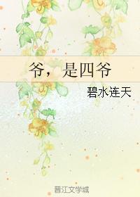 爷,是四爷