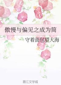傲慢与偏见之成为简