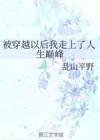 被穿越以后我走上了人生巅峰