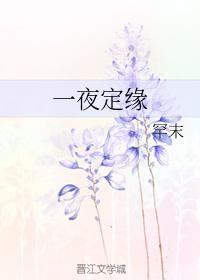 一夜定缘