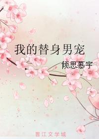 我的替身男宠