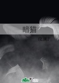 暗猫