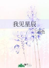 我见星辰