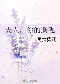 夫人，你的胸呢