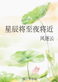 星辰将至夜将近