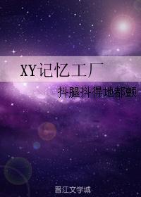 XY记忆工厂