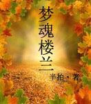 梦魂楼兰