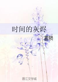 时间的灰烬