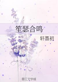 笙瑟合鸣