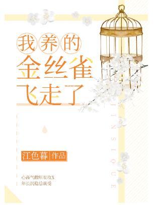 我养的金丝雀飞走了