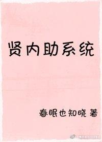 贤内助系统