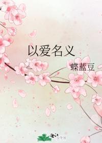 以爱名义