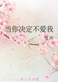 当你决定不爱我