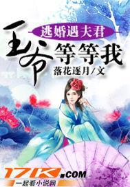 逃婚遇夫君：王爷等等我
