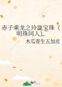 赤子乘龙之玲珑宝珠（明珠同人）