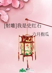 [射雕]我是史红石