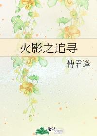 火影之追寻
