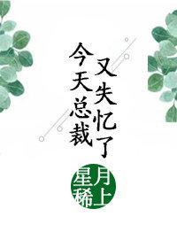 今天总裁又失忆了