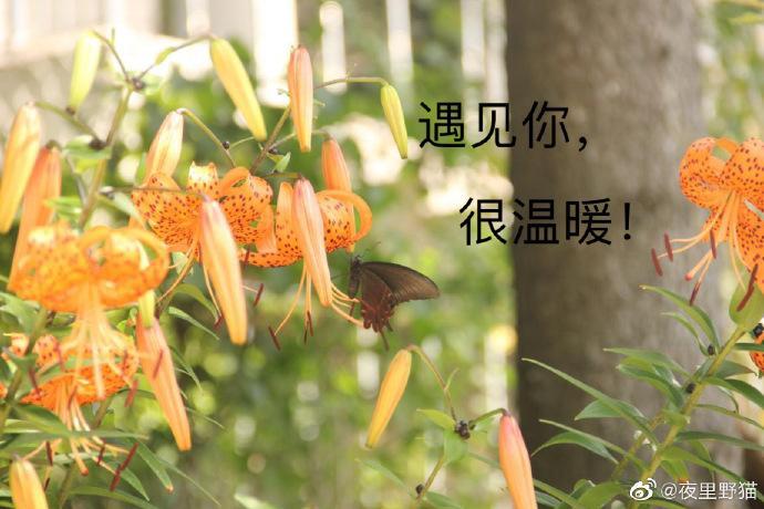 遇见你,很温暖