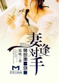 妻逢对手，总裁以一抵二