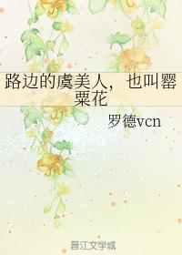 路边的虞美人，也叫罂粟花