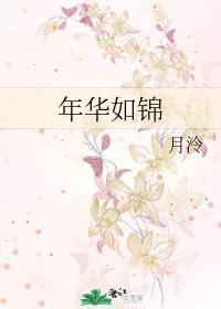 年华如锦