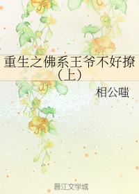 重生之佛系王爷不好撩(上)