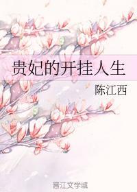 贵妃的开挂人生